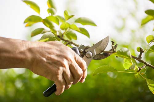 Right Time for Pruning