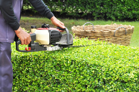 Trimming Your Hedges: Why Do It At All?