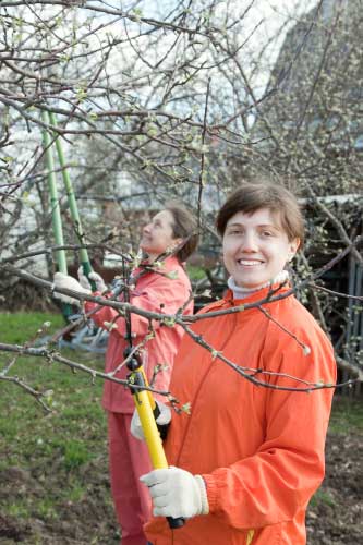 Prune Your Tree to Prevent Predicaments