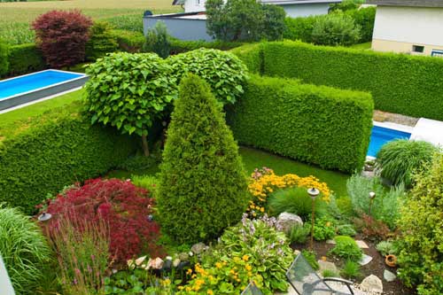 Homeowners: Six Sensible Reasons for Surrounding Shrubs