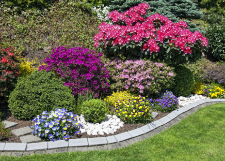 Homeowners: Six Sensible Reasons for Surrounding Shrubs