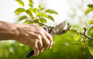 Right Time for Pruning