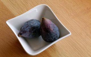 Fig-tastic! How to Grow Fig Trees In Canada