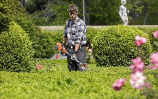 Secrets to Keep Hedges in Top Shape3