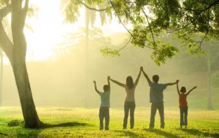 How Trees Improve Our Health