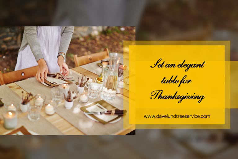 Outdoor Decorating Ideas for Thanksgiving