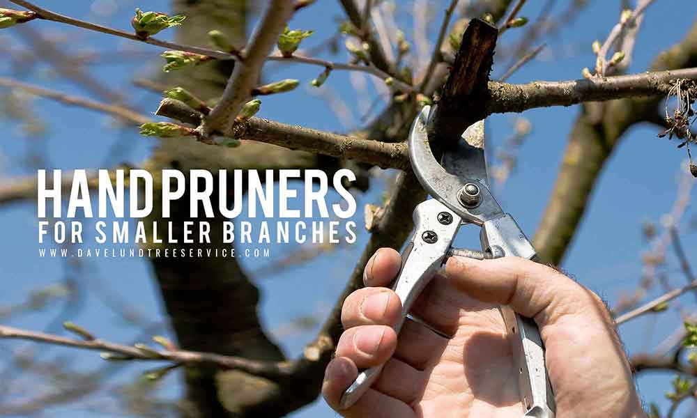 Hand-Pruners-for-smaller-branches