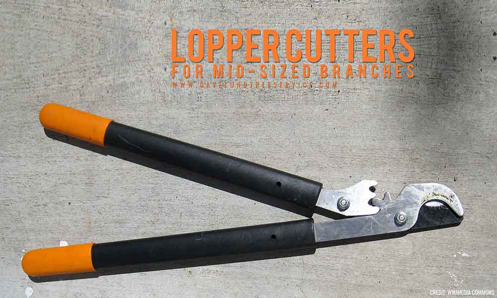 Lopper-cutters-for-mid-sized-branches