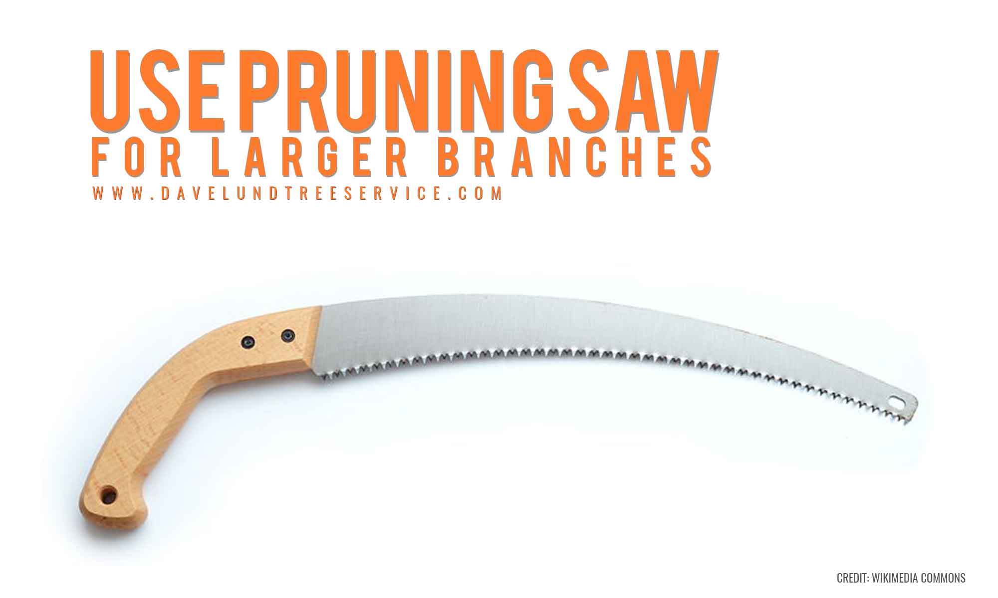 Use-pruning-saw-for-larger-branches