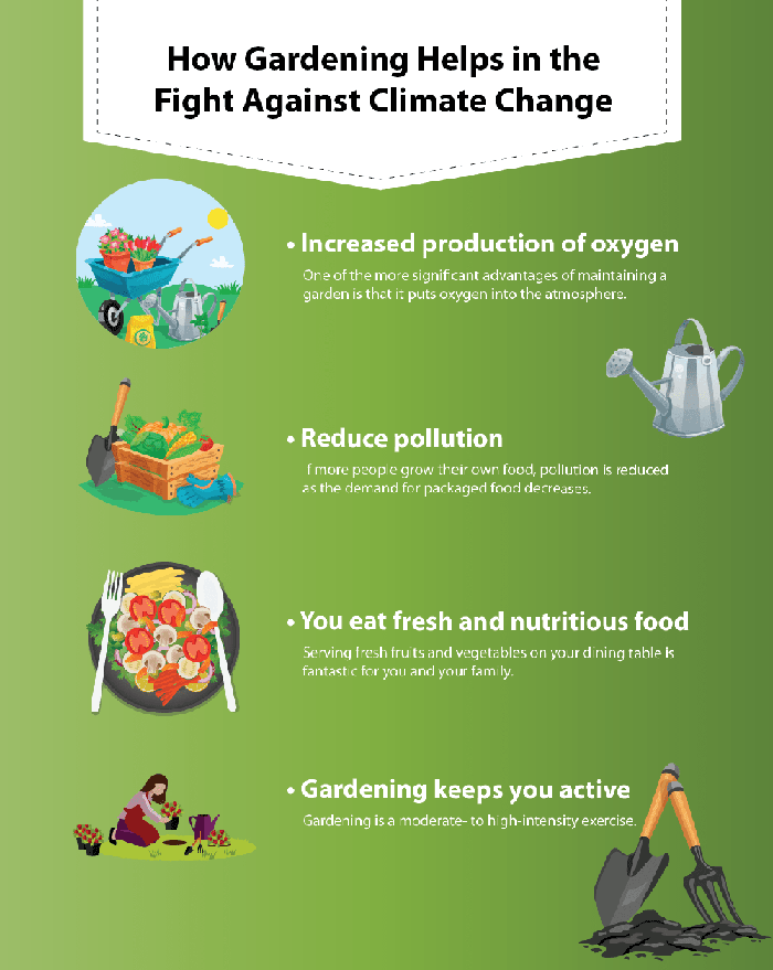 climate change infographs