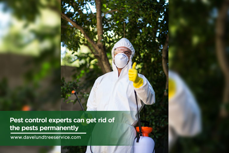 pocket insecticides and pesticides