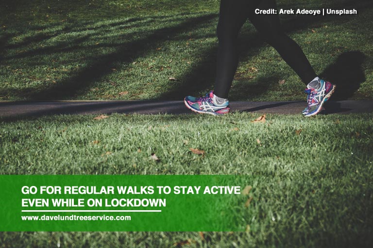 Go for regular walks to stay active even while on lockdown