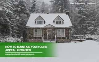 How to Maintain Your Curb Appeal in Winter