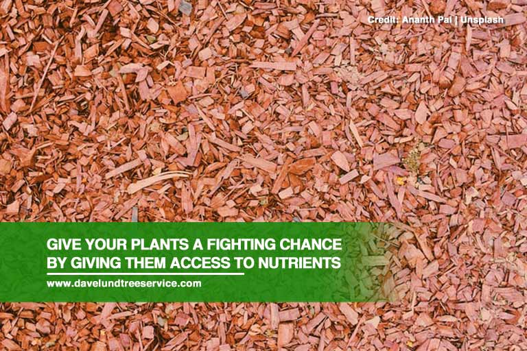 Give your plants a fighting chance by giving them access to nutrients