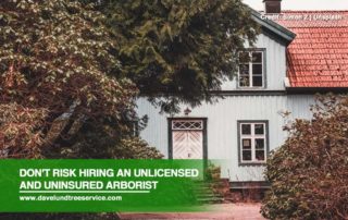 Don't Risk Hiring an Unlicensed and Uninsured Arborist