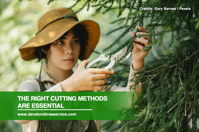 The right cutting methods are essential