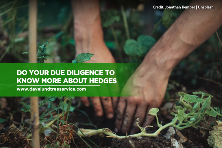 Do your due diligence to know more about hedges