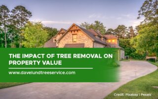 The Impact of Tree Removal on Property Value