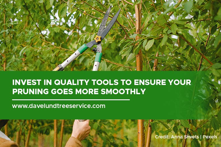 Invest in quality tools to ensure your pruning goes more smoothly