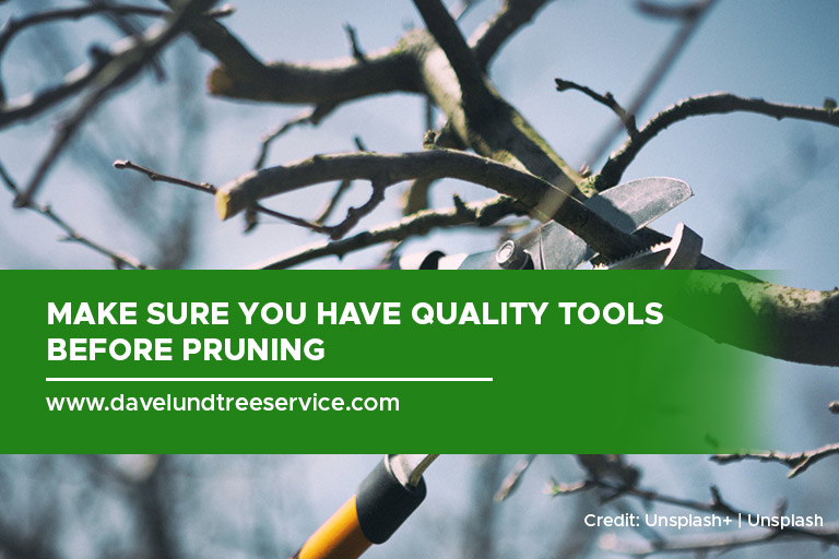 Make sure you have quality tools before pruning