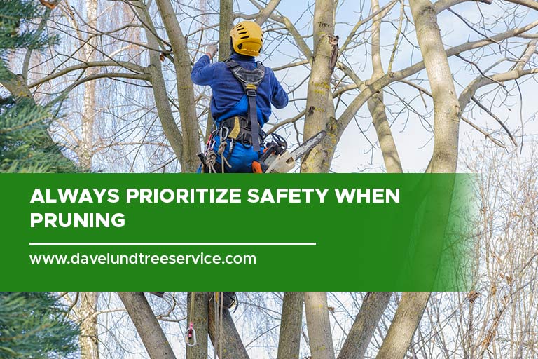 Always prioritize safety when pruning