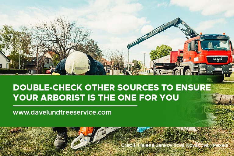 Double-check other sources to ensure your arborist is the one for you