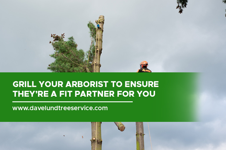 Grill your arborist to ensure they’re a fit partner for you