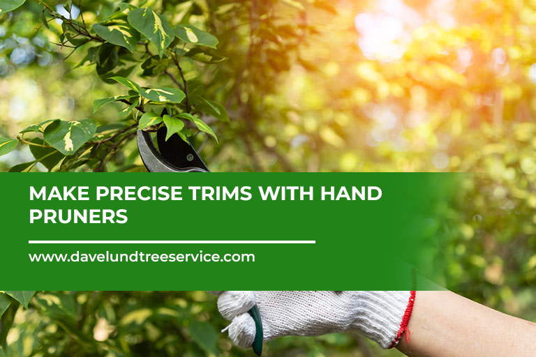 Make-precise-trims-with-hand-pruners